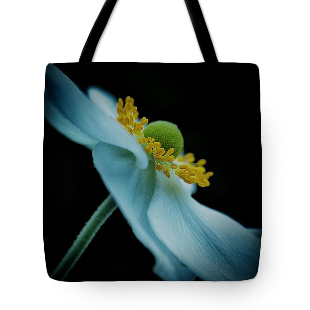 Connie Handscomb Tote Bag featuring the photograph Celebrity by Connie Handscomb