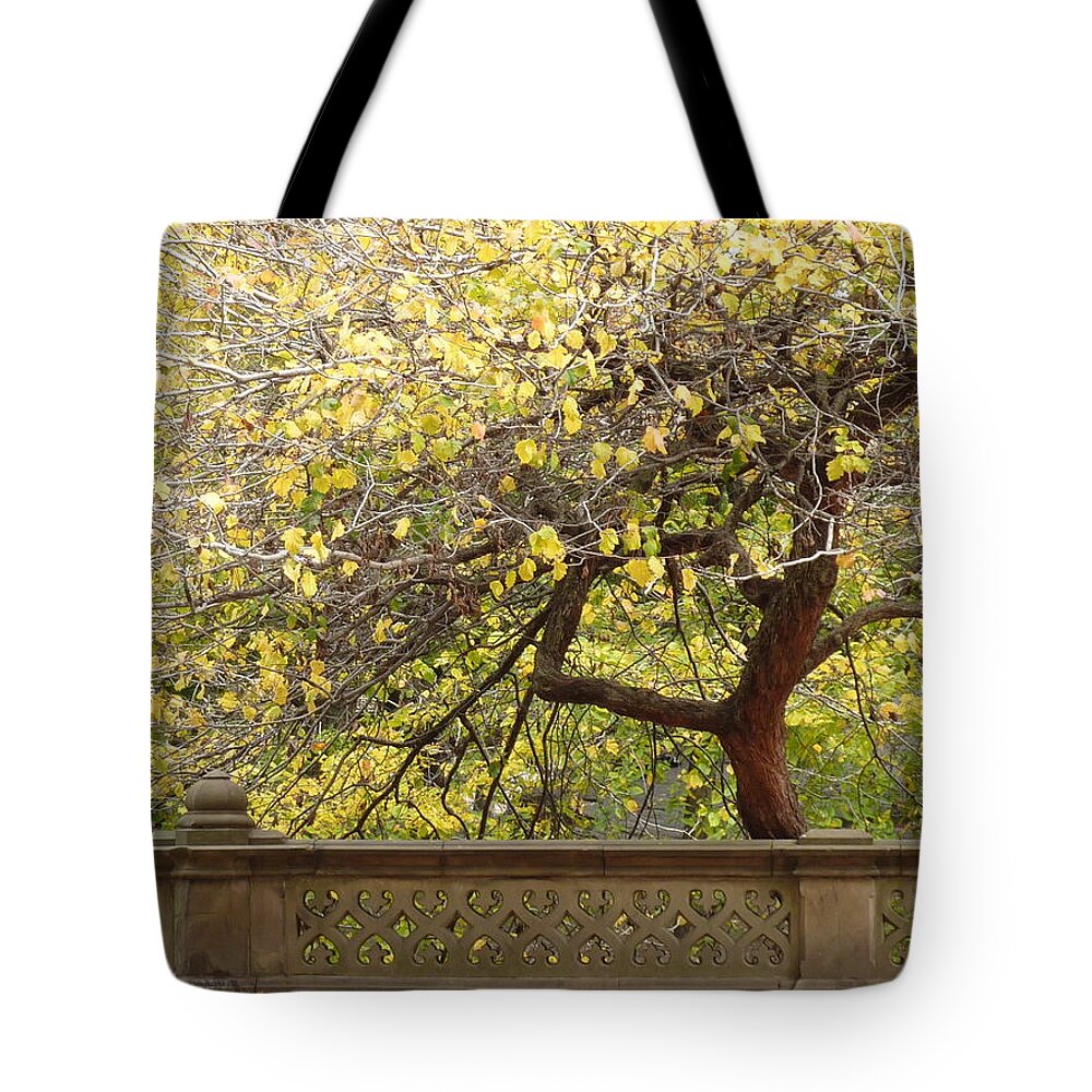 Fall Tote Bag featuring the photograph Central Park foliage by Patricia Caron