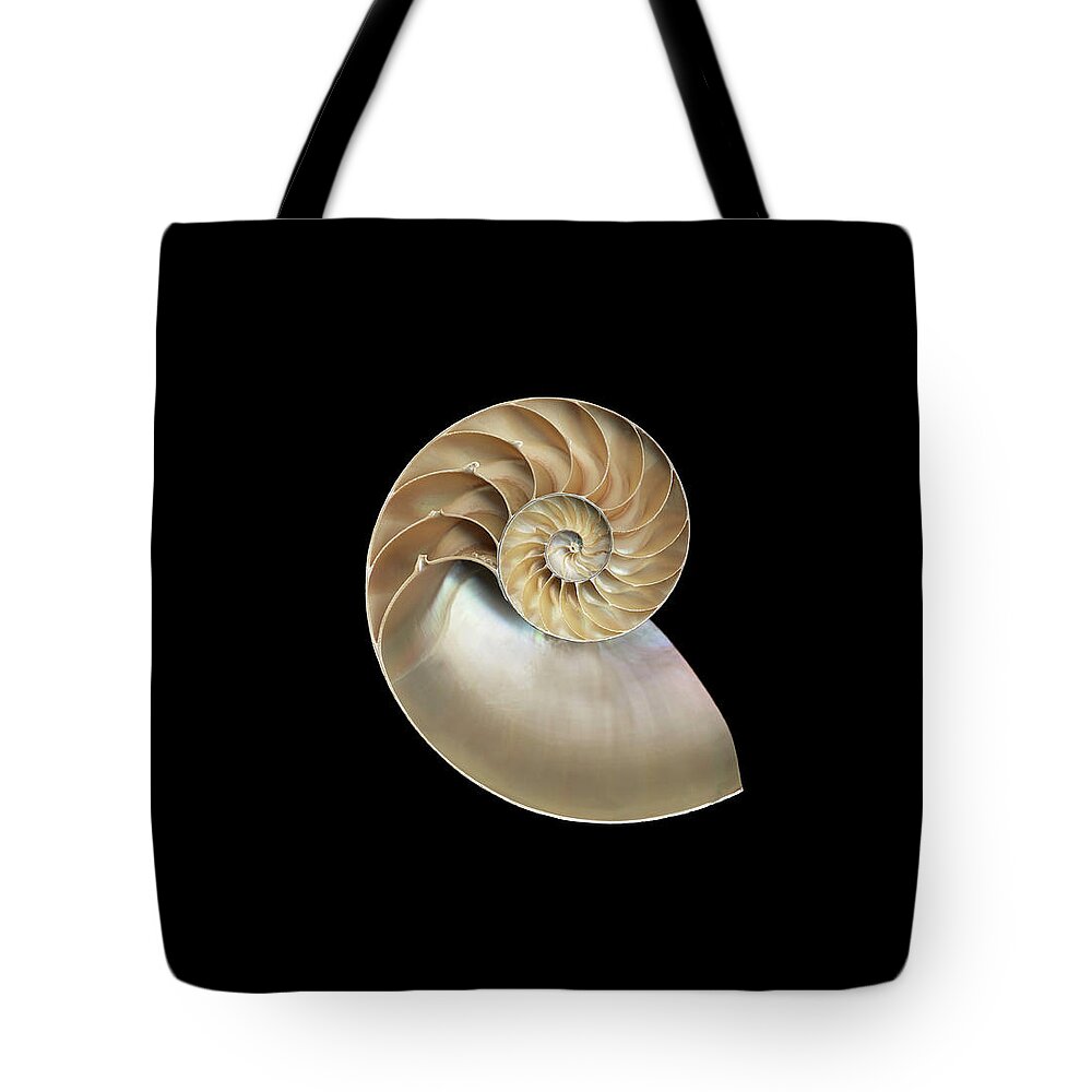 Natural Pattern Tote Bag featuring the photograph Chambered Nautilus Nautilus Sp., Cross by Mike Hill