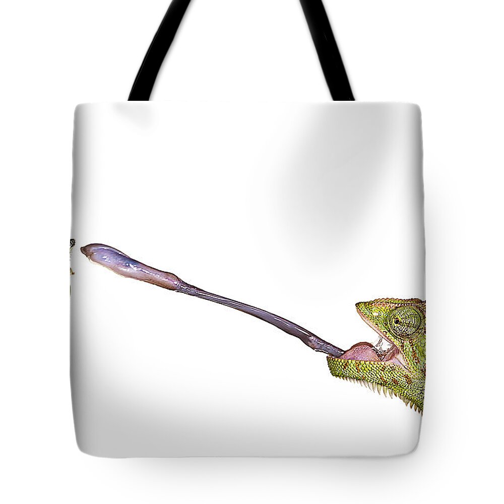 White Background Tote Bag featuring the photograph Chameleon Sticking Out Tongue To Catch by Gandee Vasan