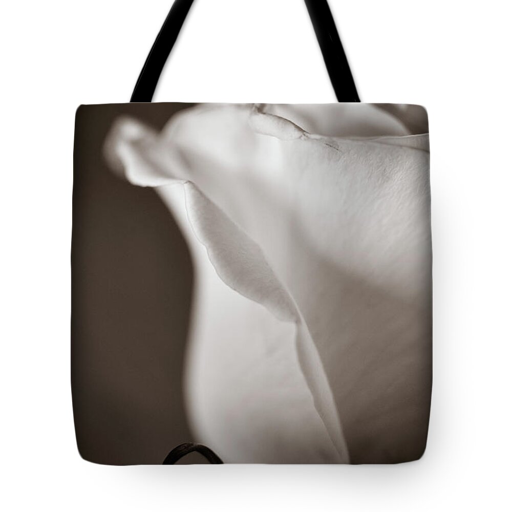 Sepia Tote Bag featuring the photograph Chance by Michelle Wermuth