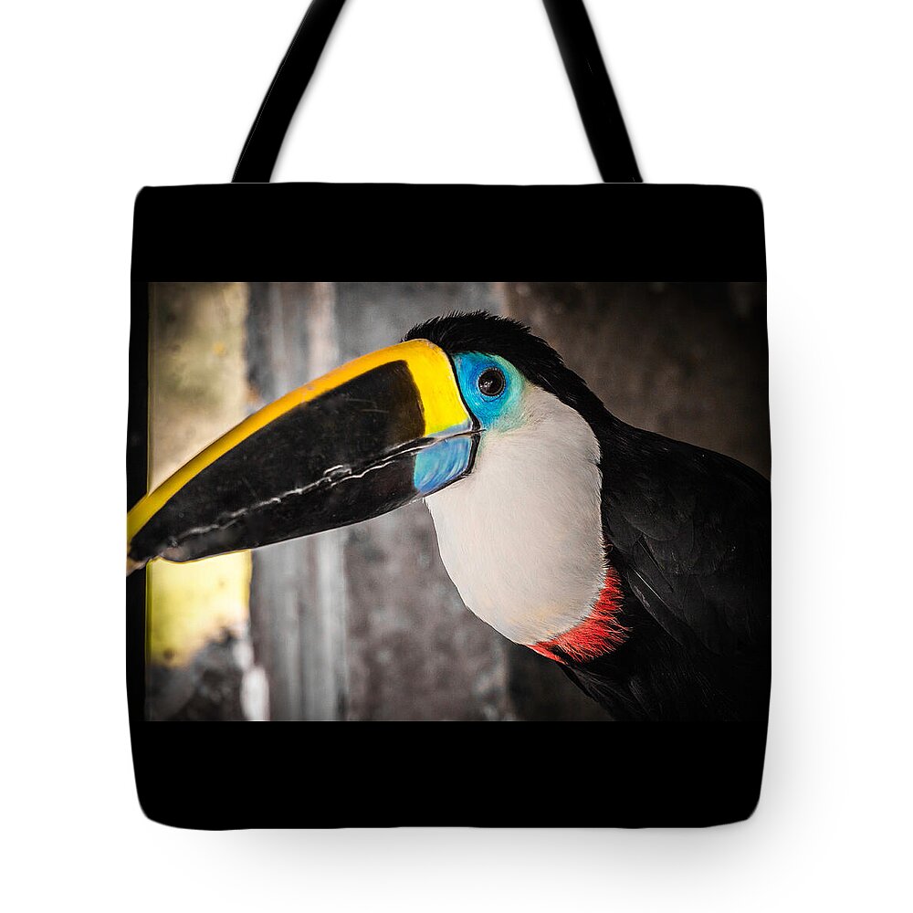 Animals Tote Bag featuring the photograph Channel Billed Toucan, Peru by Venetia Featherstone-Witty