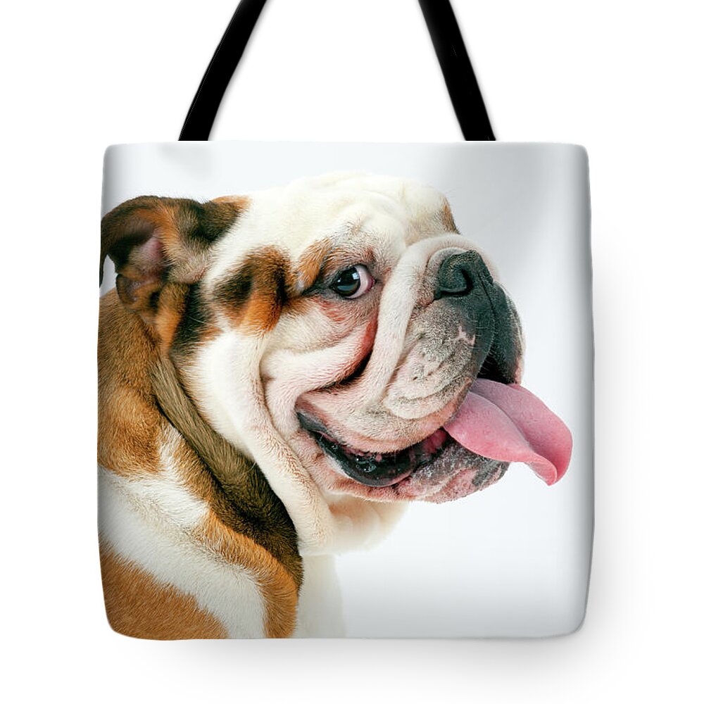 18 Months Tote Bag featuring the photograph Cheeky British Bulldog by Seeables Visual Arts