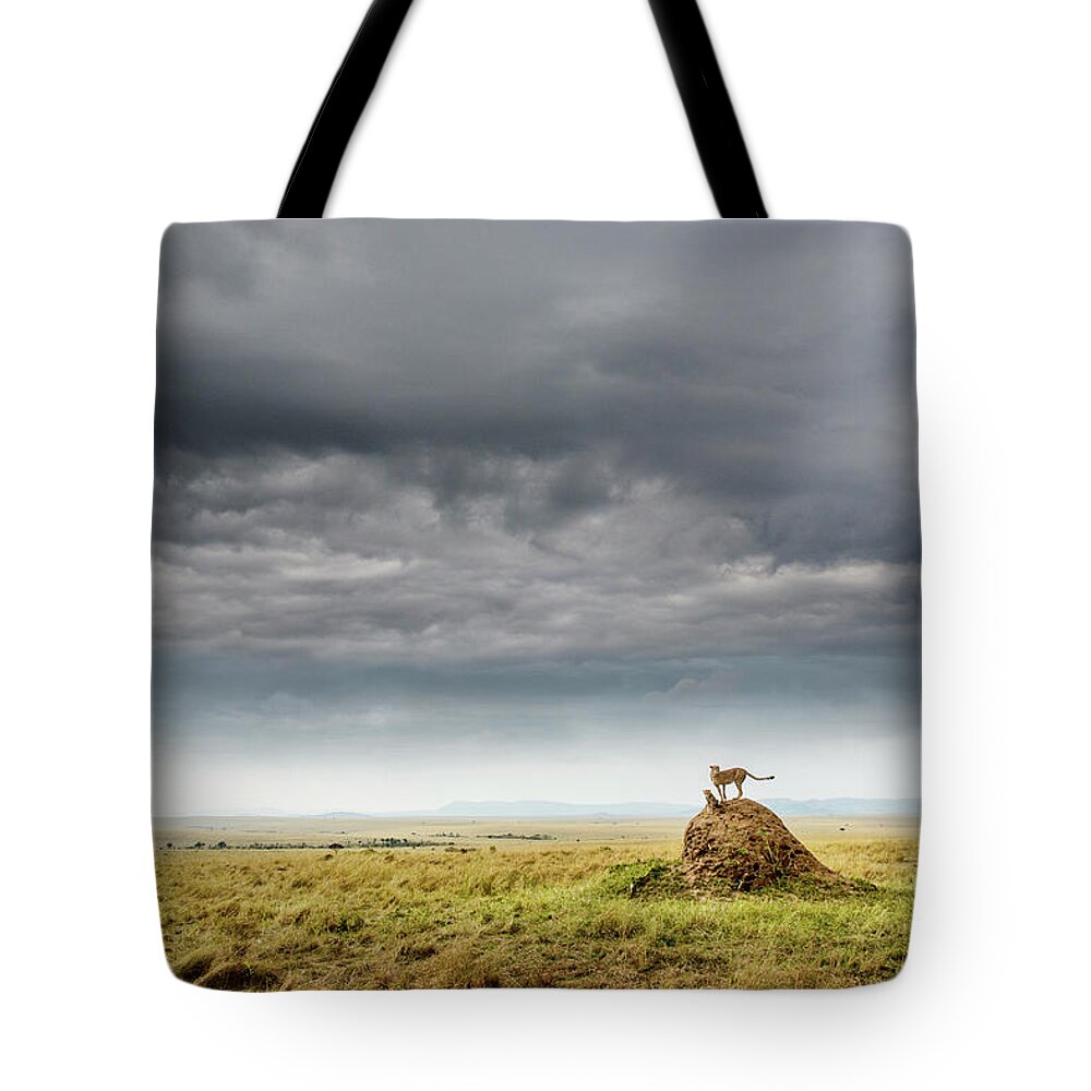 Scenics Tote Bag featuring the photograph Cheetah And Cub And Stormy Sky by Mike Hill
