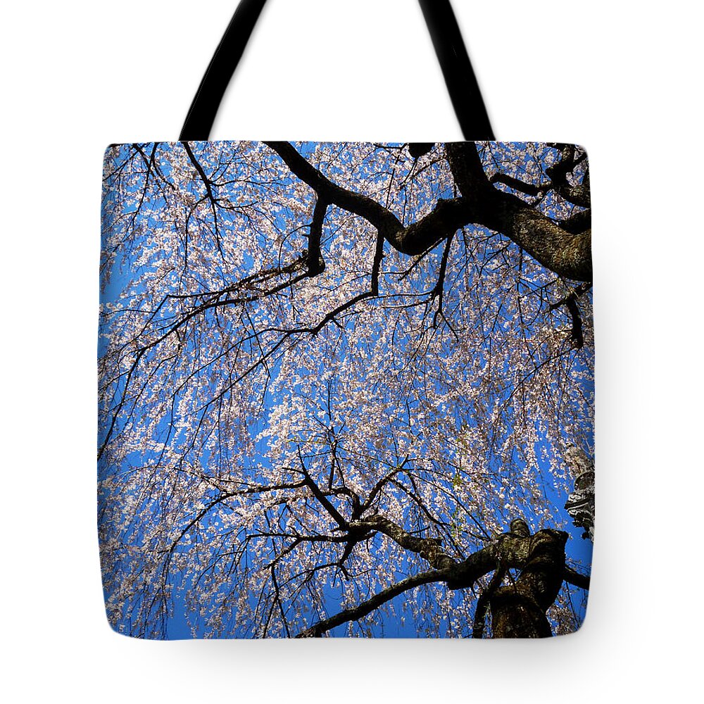 Spring Landscape Tote Bag featuring the photograph Cherry Blossom Abstract by Mike McBrayer