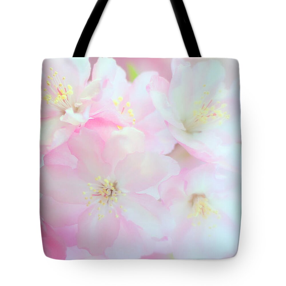Osaka Prefecture Tote Bag featuring the photograph Cherry Blossom by Frais Orange Photography