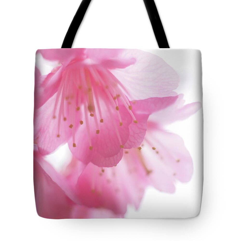 Petal Tote Bag featuring the photograph Cherry Blossom by Gen Umekita