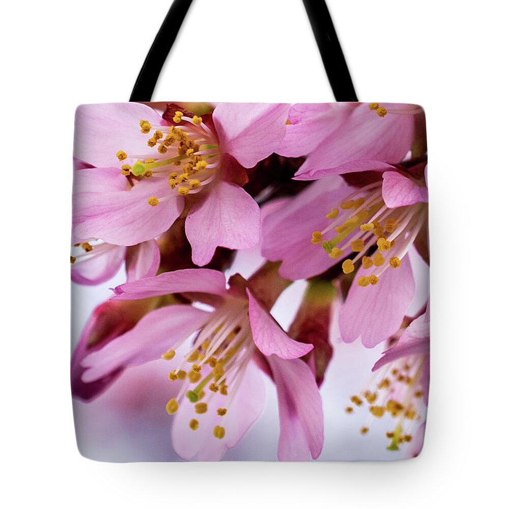 Cherry Blossoms Tote Bag featuring the photograph Cherry Blossom Macro by Mary Ann Artz