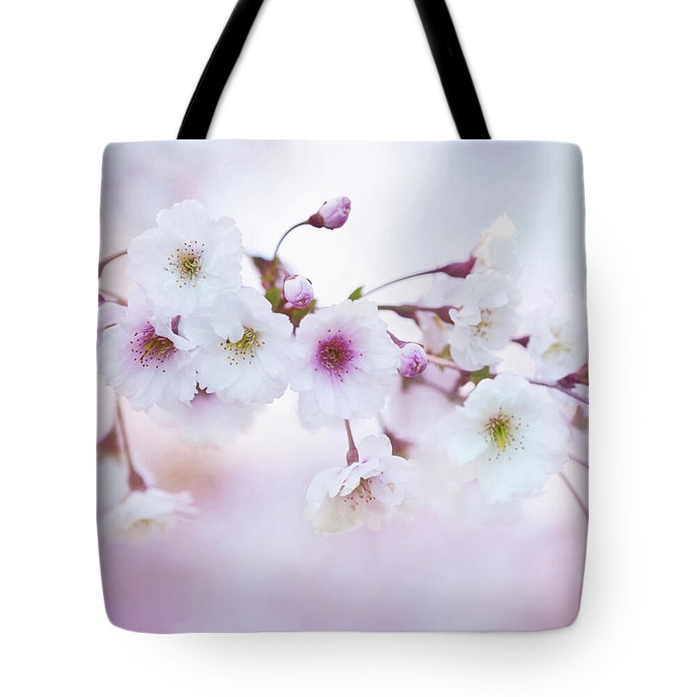Cherry Blossoms Tote Bag featuring the photograph Cherry Blossoms in Pastel Pink by Anita Pollak