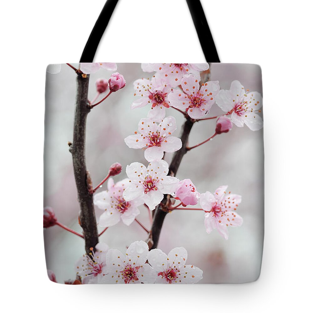 Japanese Cherry Blossom Tote Bag