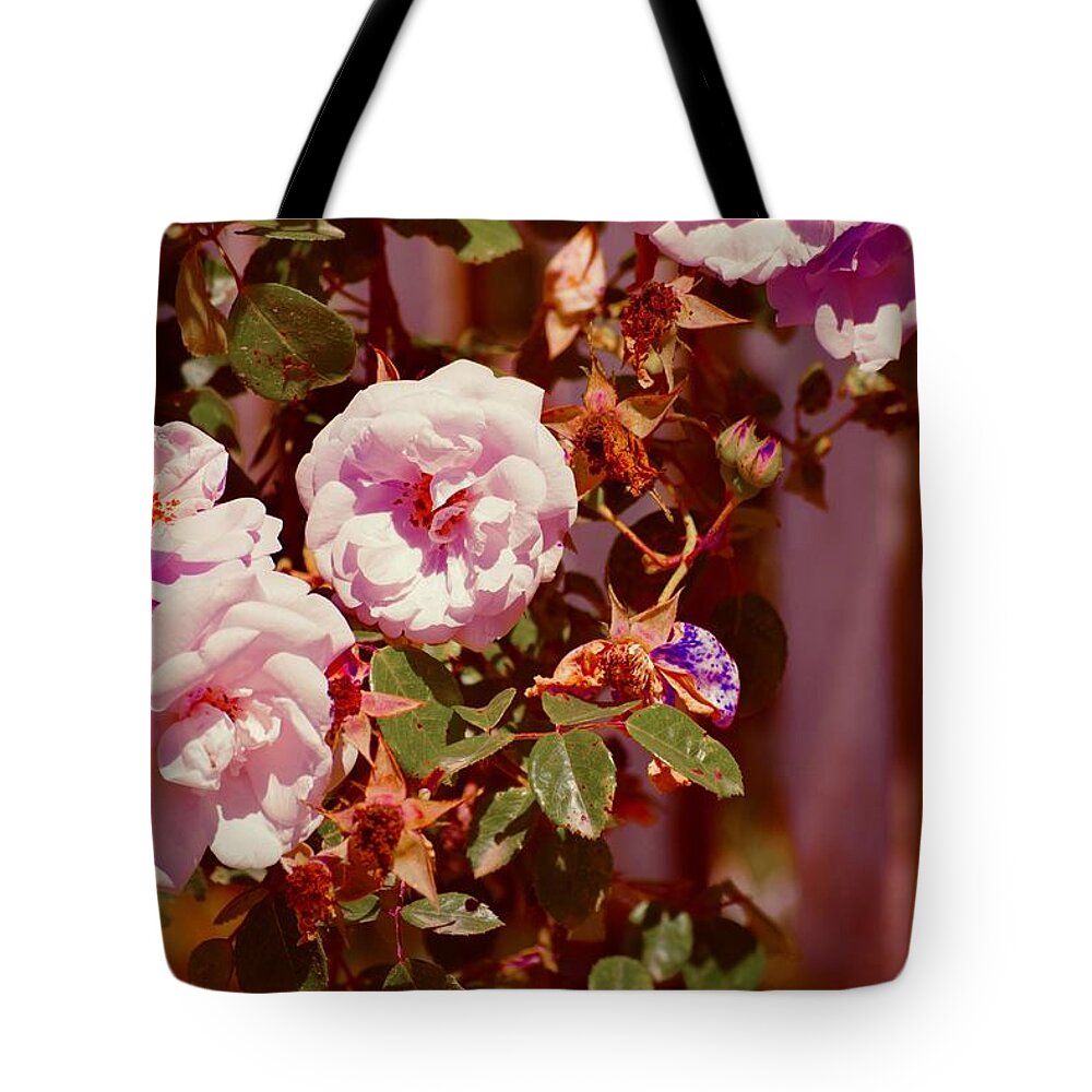 Chic And Shabby Wild Roses Tote Bag featuring the photograph Chic and Shabby Wild Roses by Debra Grace Addison