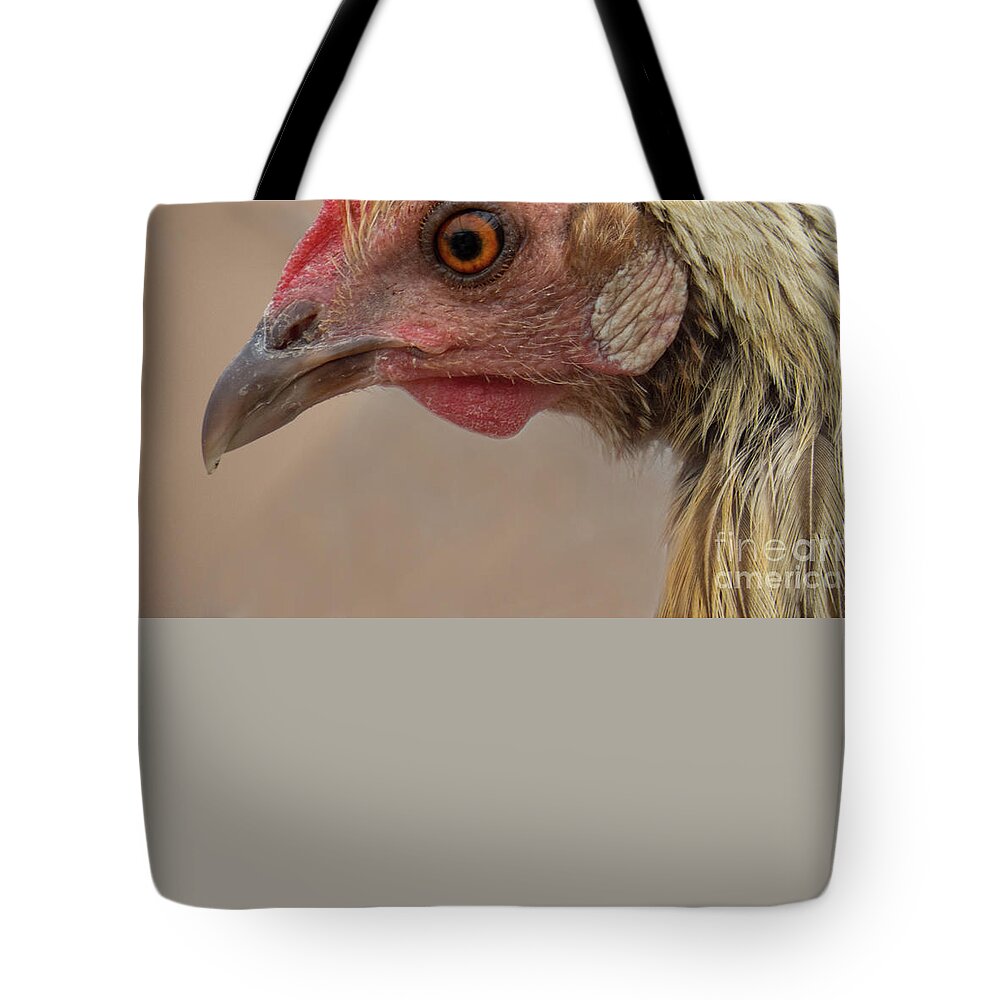  Tote Bag featuring the photograph Chicken Face 2 by Christy Garavetto
