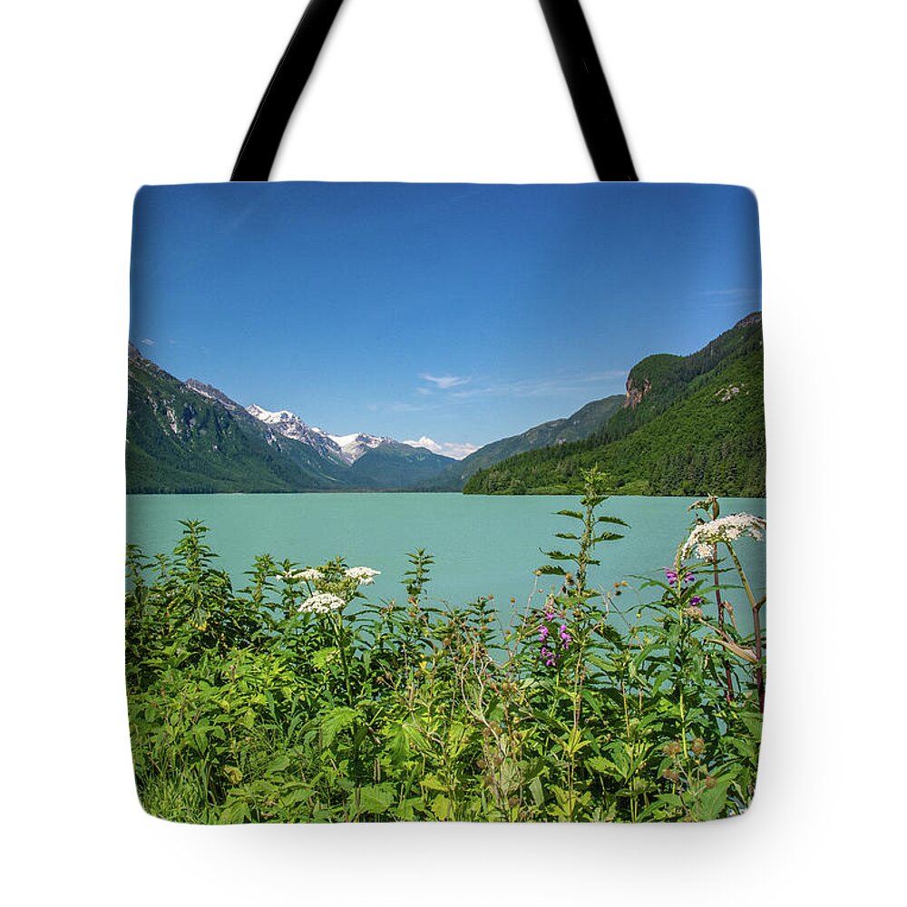 Alaska Tote Bag featuring the photograph Chilkat Lake Alaska by Douglas Wielfaert