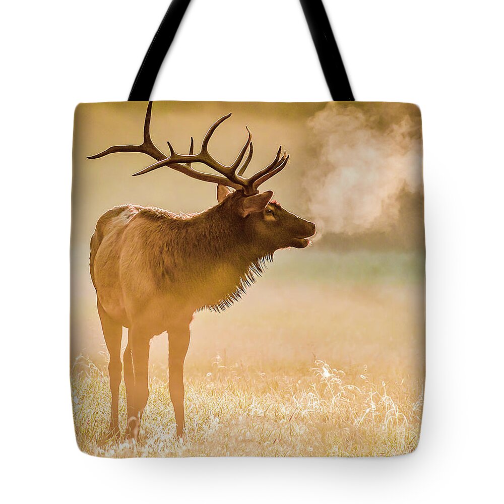 Elk Tote Bag featuring the photograph Frosty Bugle Breath by Marcy Wielfaert
