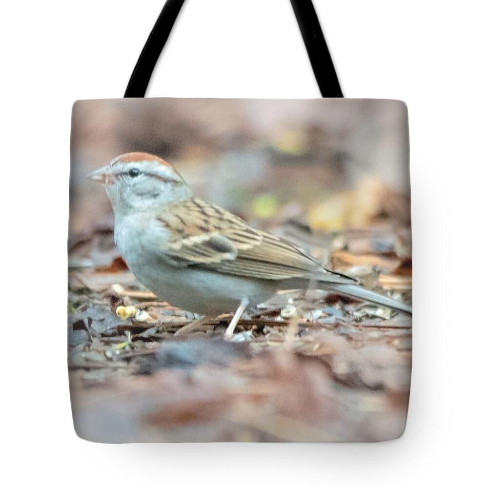 Chipping Sparrow Tote Bag featuring the photograph Chipping Sparrow by Mary Ann Artz