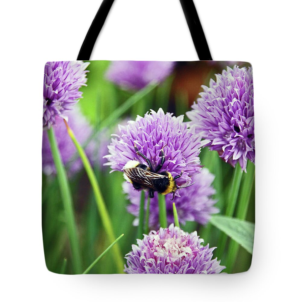 Chorley Tote Bag featuring the photograph  CHORLEY. Picnic In The Park. Bee In The Chives. by Lachlan Main