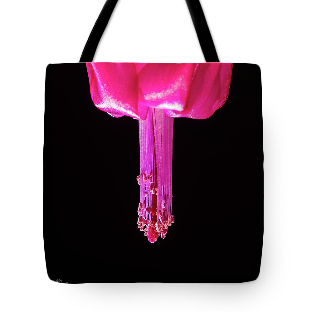Christmas Cactus Tote Bag featuring the photograph Christmas Cactus Genitals a closeup by Torbjorn Swenelius