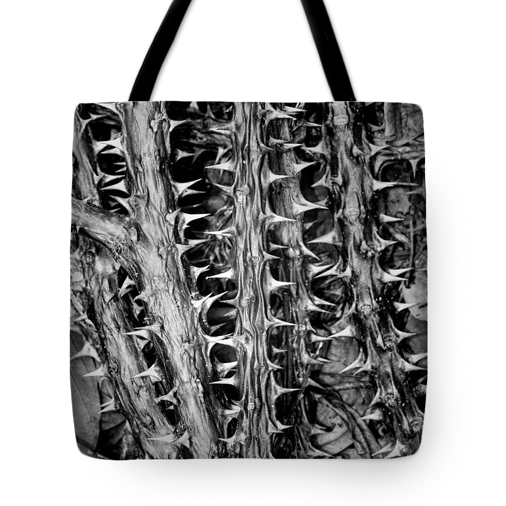 Euphorbia Tote Bag featuring the photograph Christs' thorn by Alessandra RC