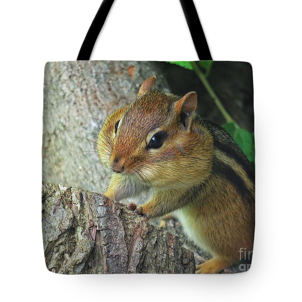 Chipmunk Tote Bag featuring the photograph Chubby Cheeked Chipmunk by Diana Rajala