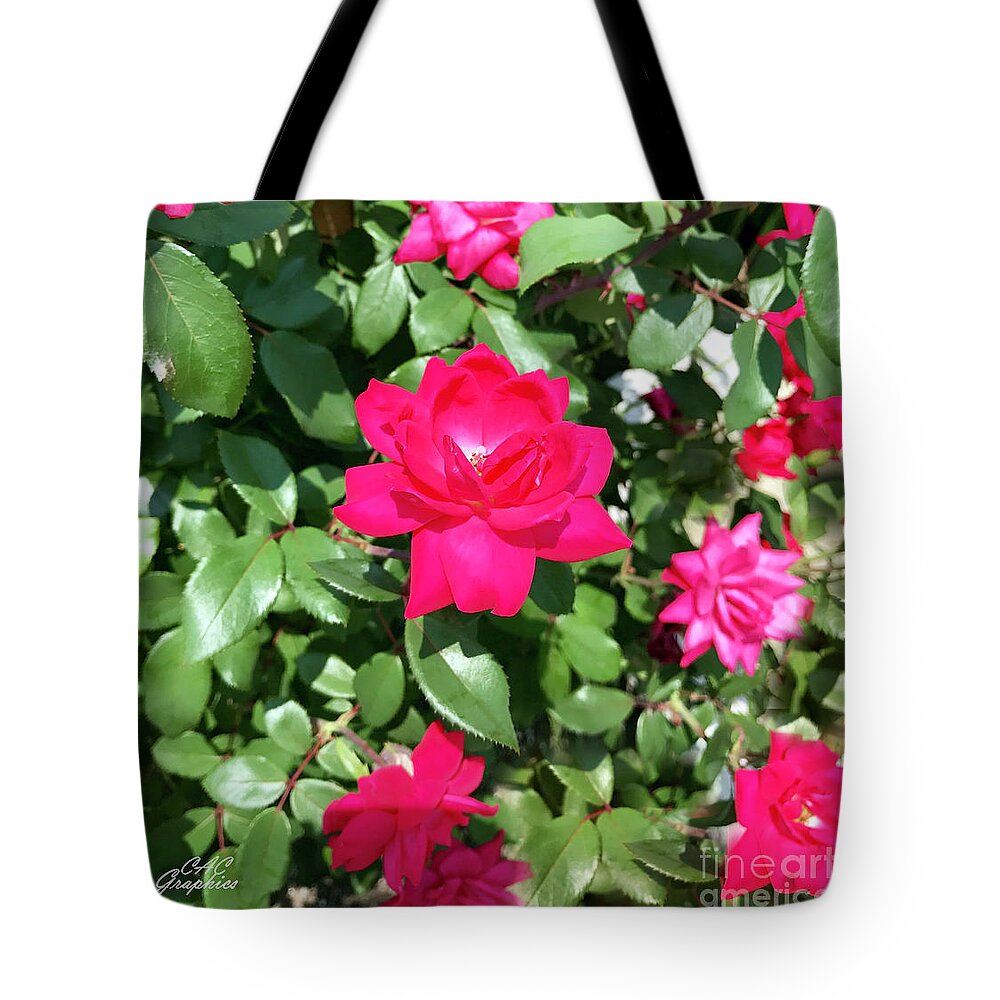 Churchill Downs Tote Bag featuring the photograph Churchill Downs Roses by CAC Graphics