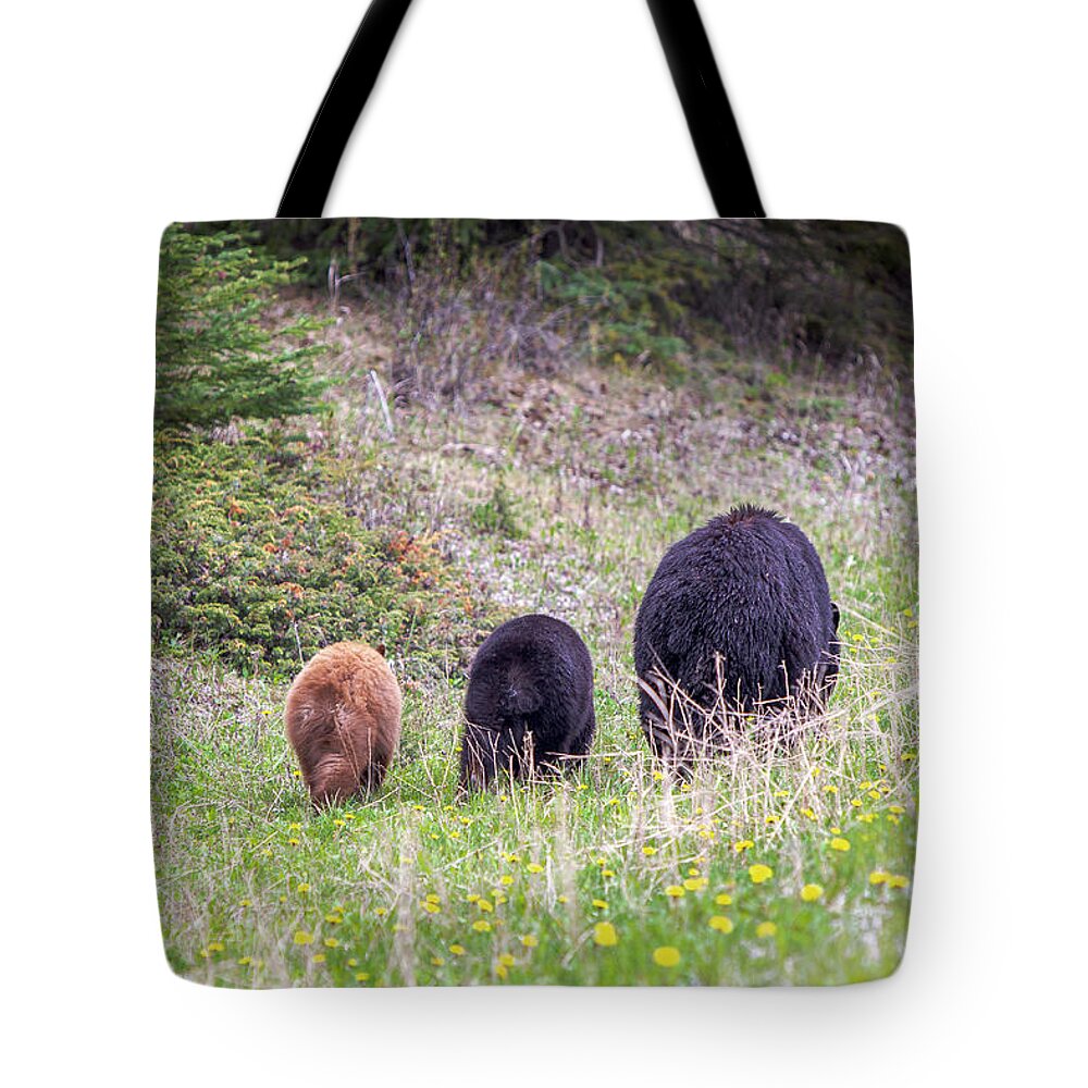 Black Bear Tote Bag featuring the photograph Cinnamon Bum by Canadart -