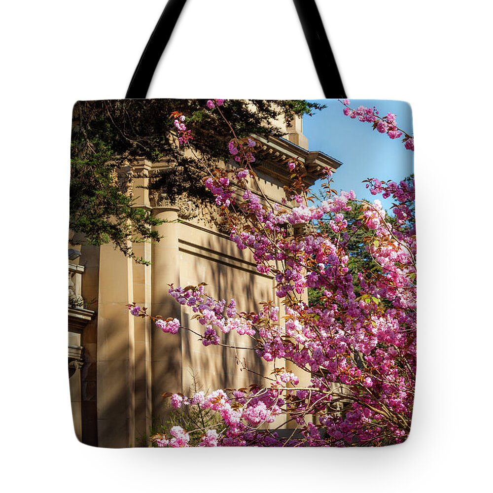 Classical Sakura Tote Bag featuring the photograph Classical Sakura by Bonnie Follett