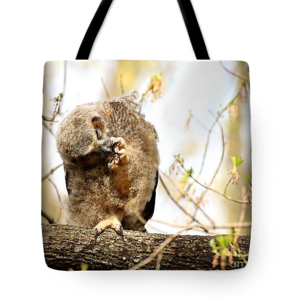 Great Horned Owl Tote Bag featuring the photograph Cleaning my toes by Heather King