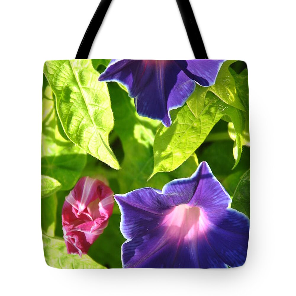 Botanical Tote Bag featuring the photograph Clematis in Sun by Lori Moon