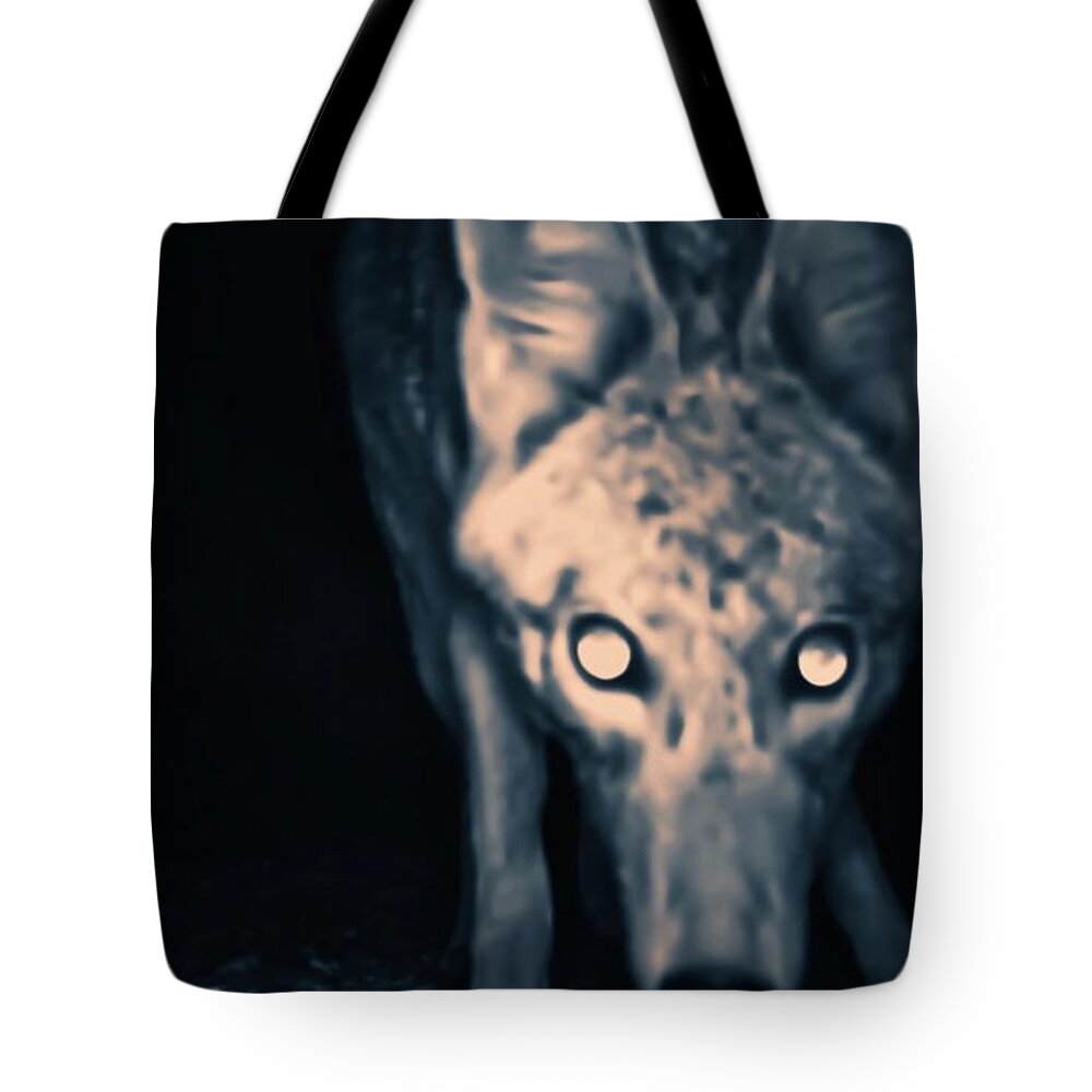 Animal Trail Tote Bag featuring the photograph Close Enough? by Judy Kennedy