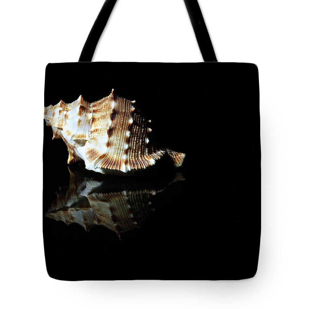 Animal Themes Tote Bag featuring the photograph Close-up Of A Conch Shell by Visage