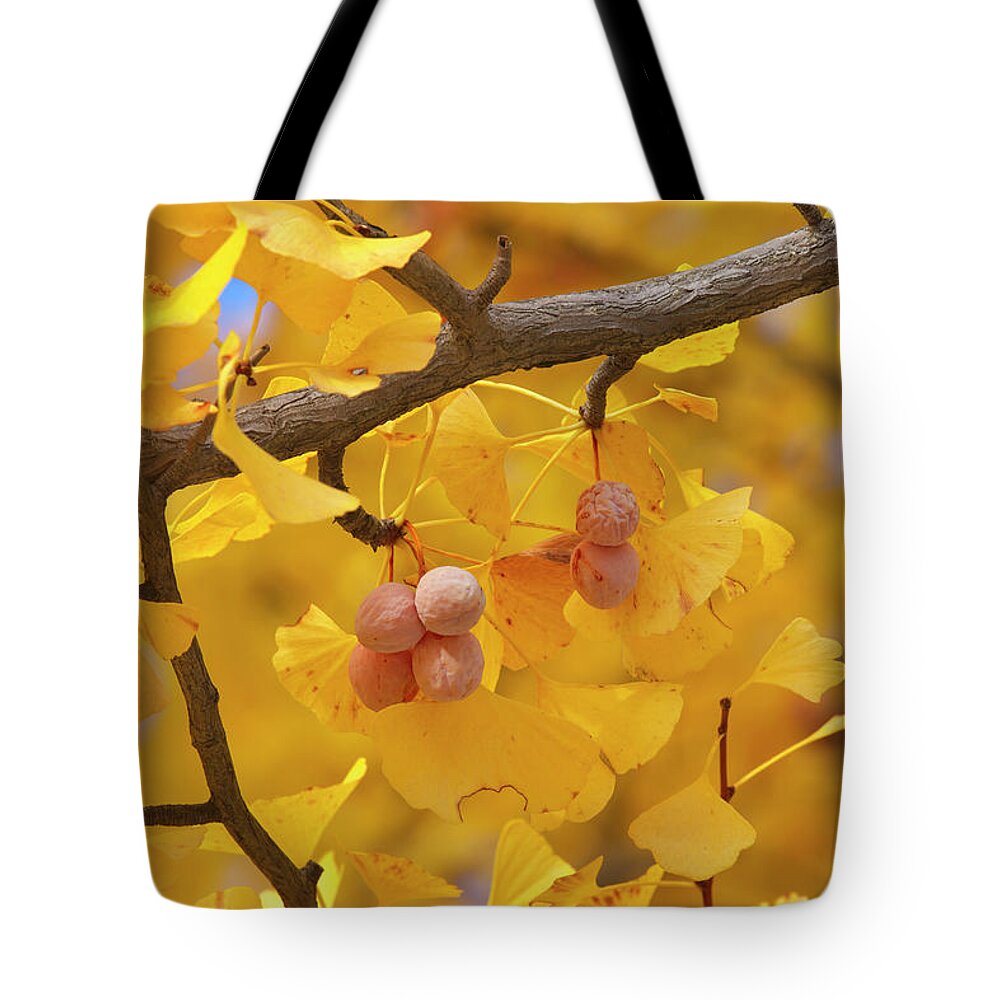 Ginkgo Tree Tote Bag featuring the photograph Close-up Of Gingko Tree In Autumn by Wada Tetsuo/a.collectionrf