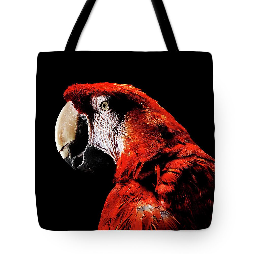 Pets Tote Bag featuring the photograph Close Up Of Scarlet Macaw by Henrik Sorensen