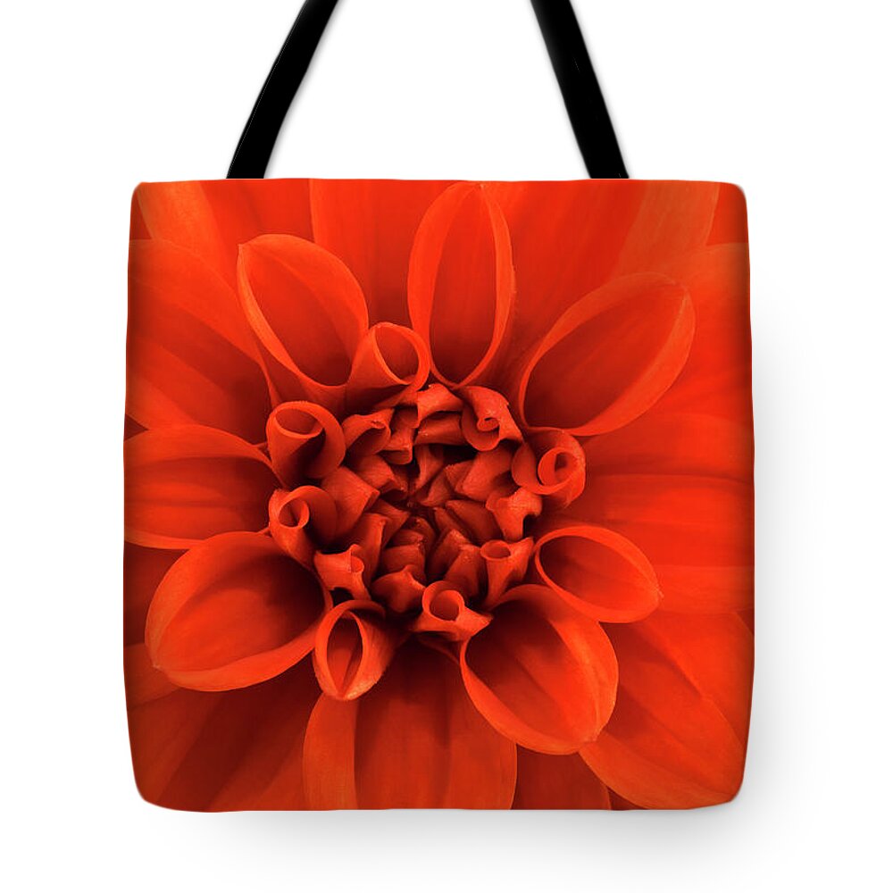 Orange Color Tote Bag featuring the photograph Close Up View Of An Orange Dahlia by Mike Hill