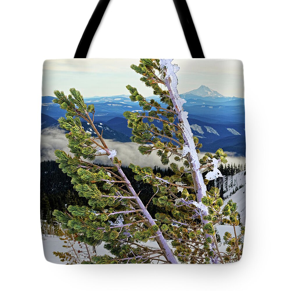 Nature Tote Bag featuring the photograph Closeup Ice Covered Icy Conifer Tree Leaning From Wind With Winter Forest Valley In Background by Robert C Paulson Jr