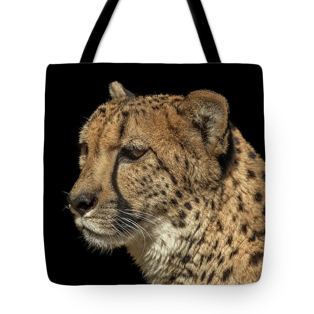2019 Tote Bag featuring the photograph Closeup of a Cheetah by Constance Puttkemery