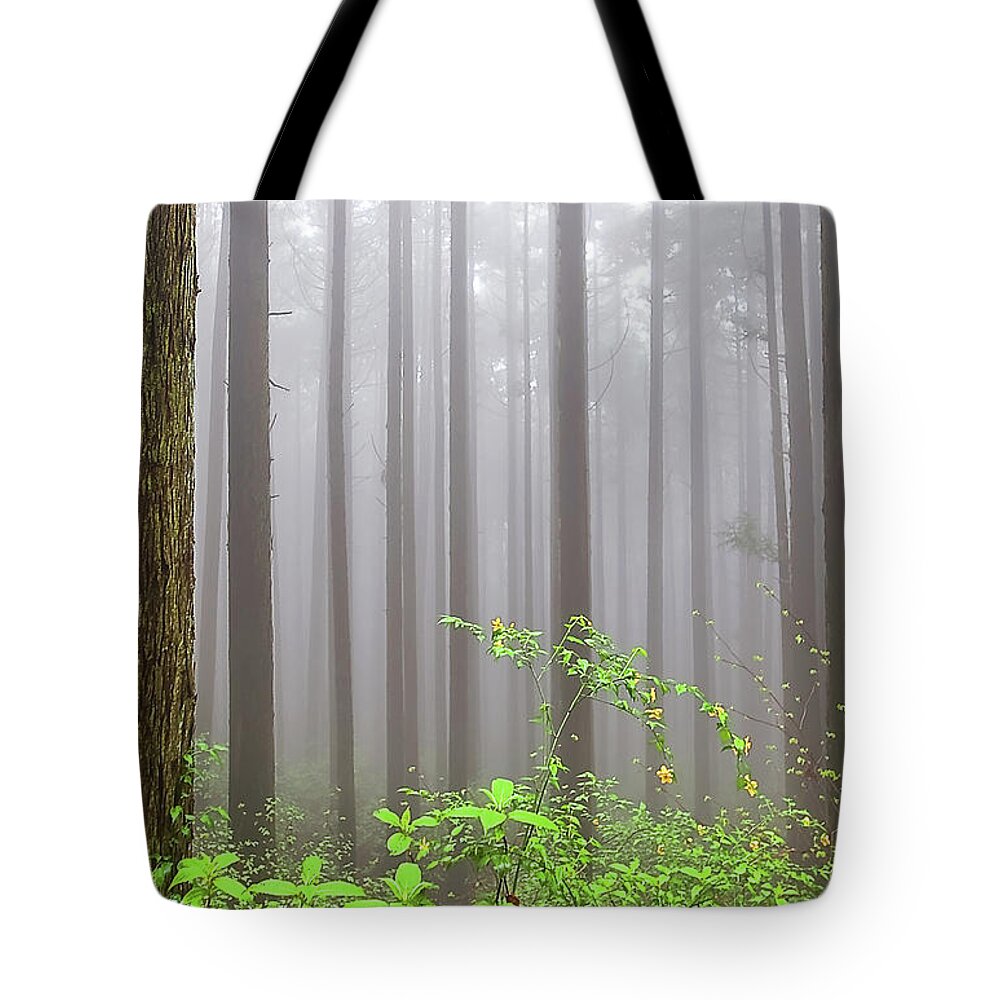 Tranquility Tote Bag featuring the photograph Cloud Forest by Huayang