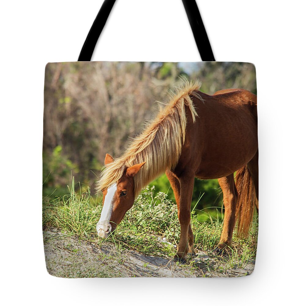 Wild Horse Tote Bag featuring the photograph Coastal Wild Mustang by Bob Decker
