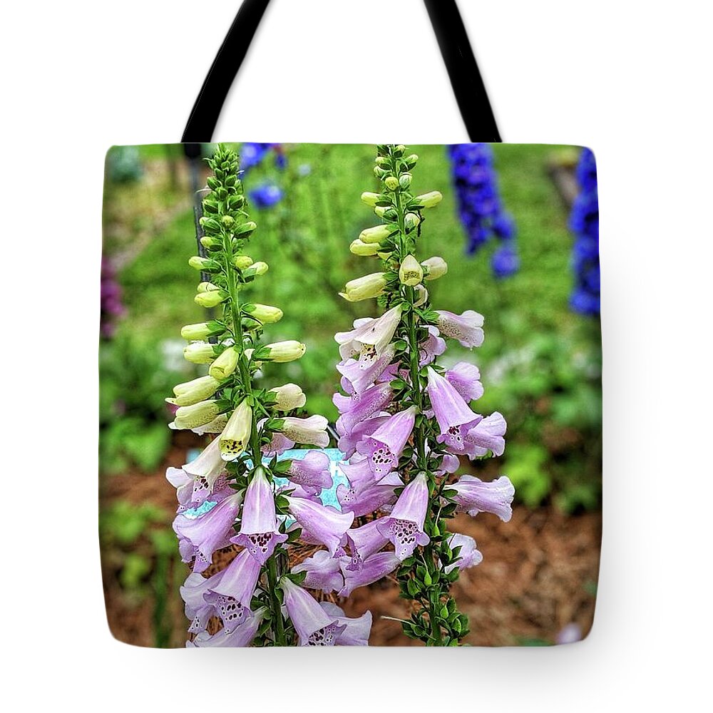 Flowers Tote Bag featuring the photograph Cocklebells by Portia Olaughlin
