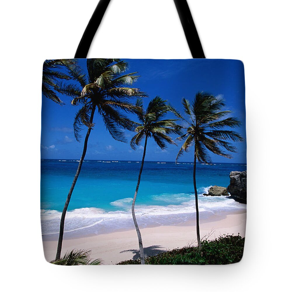 Barbados Tote Bag featuring the photograph Coconut Trees Cocos Nucifera And Bottom by Holger Leue
