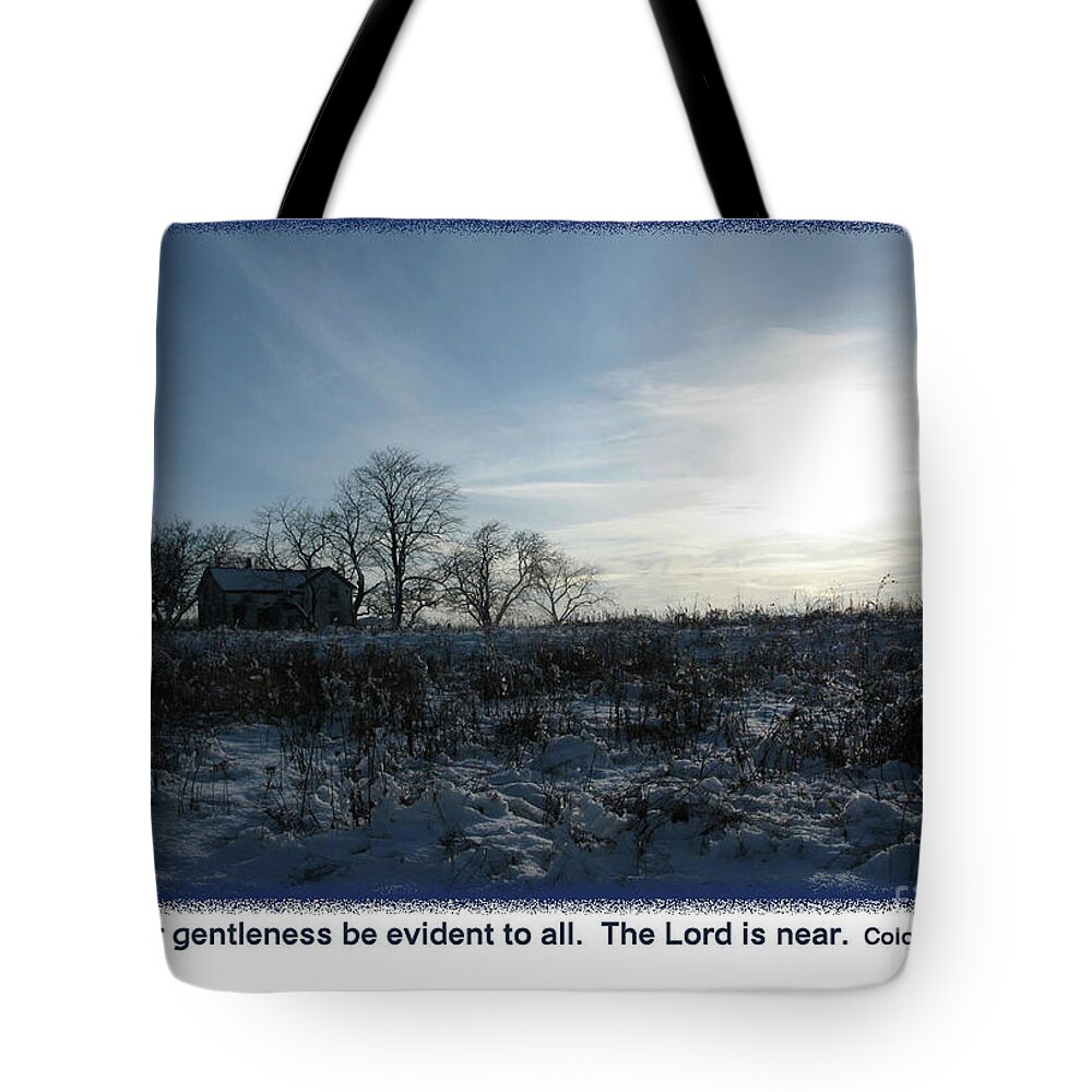  Tote Bag featuring the mixed media Col4 5 by Lori Tondini