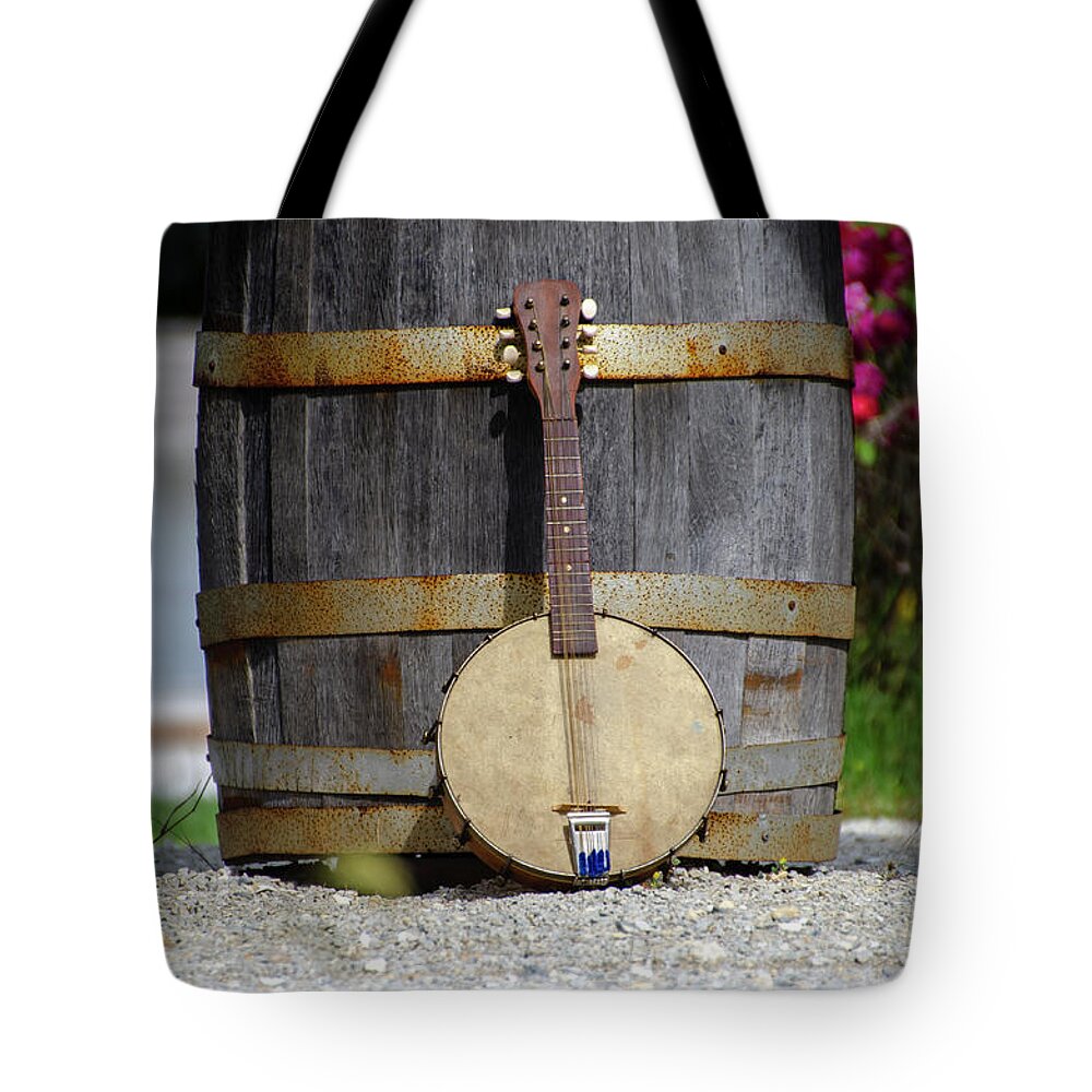 Cold Tote Bag featuring the photograph Cold Spring - Banjo Mandolin by Bill Cannon
