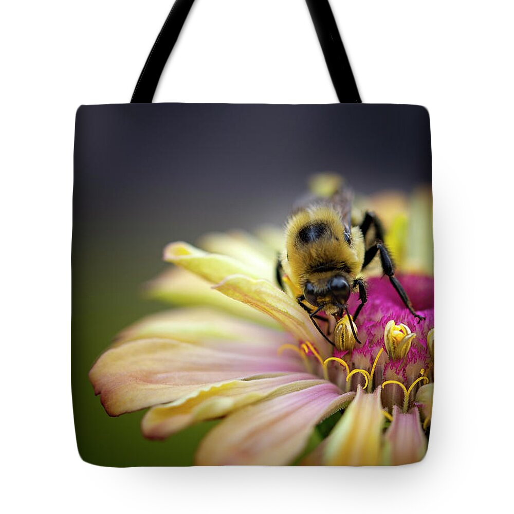 Blumwurks Tote Bag featuring the photograph Collection by Matthew Blum