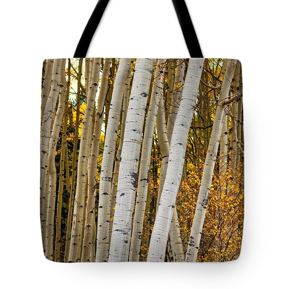 Colorado Tote Bag featuring the photograph Colorado Aspens by Tom Gresham