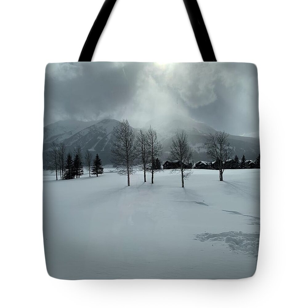 Landscape Tote Bag featuring the photograph Colorado snow day by Colette Lee