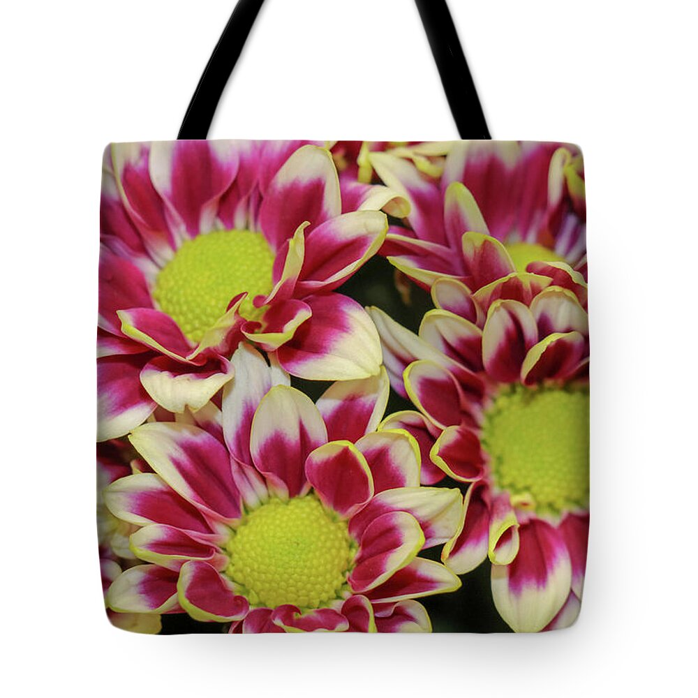 Fall Tote Bag featuring the photograph Colorful Fall Blooms by Mary Anne Delgado