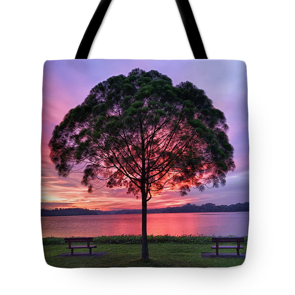 Scenics Tote Bag featuring the photograph Colorful Light Seen Behind Tree by Pang Tze Ru