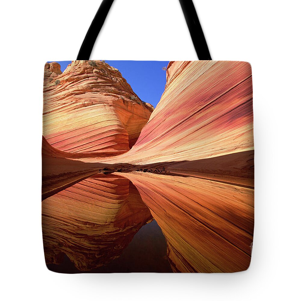 00341038 Tote Bag featuring the photograph Colorful Sandstone Reflection by Yva Momatiuk John Eastcott