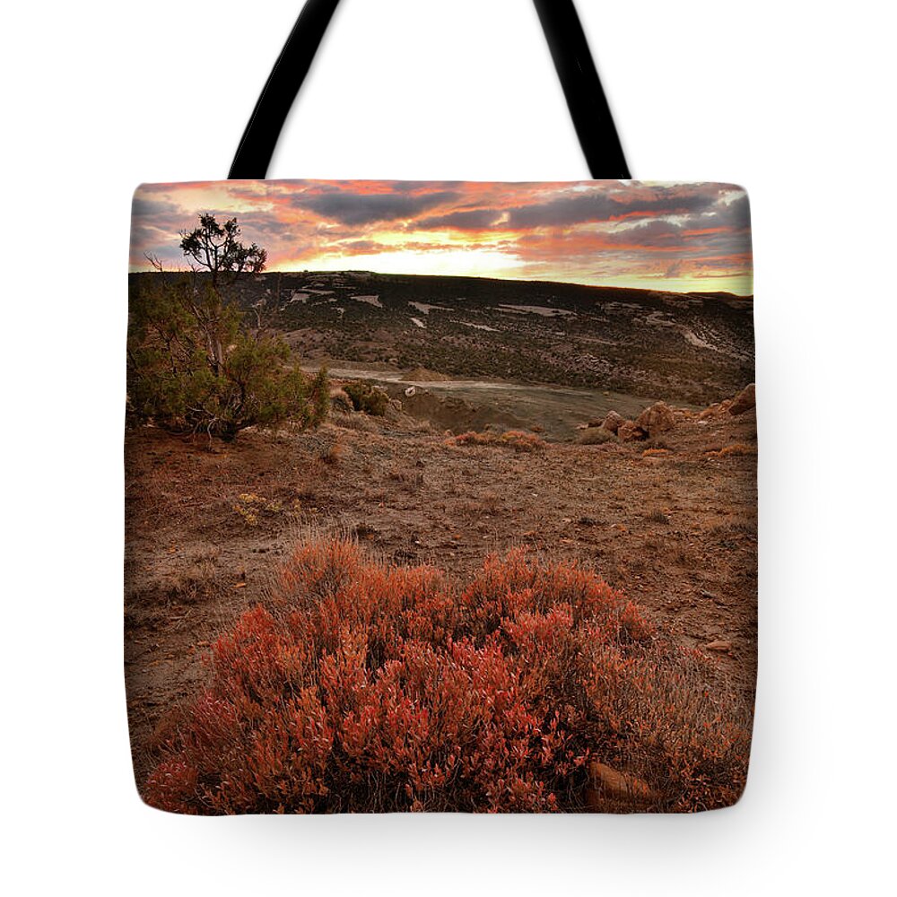 Little Park Road Bentonite Site Tote Bag featuring the photograph Colorful Sunset and Bush in Bentonite Site by Ray Mathis