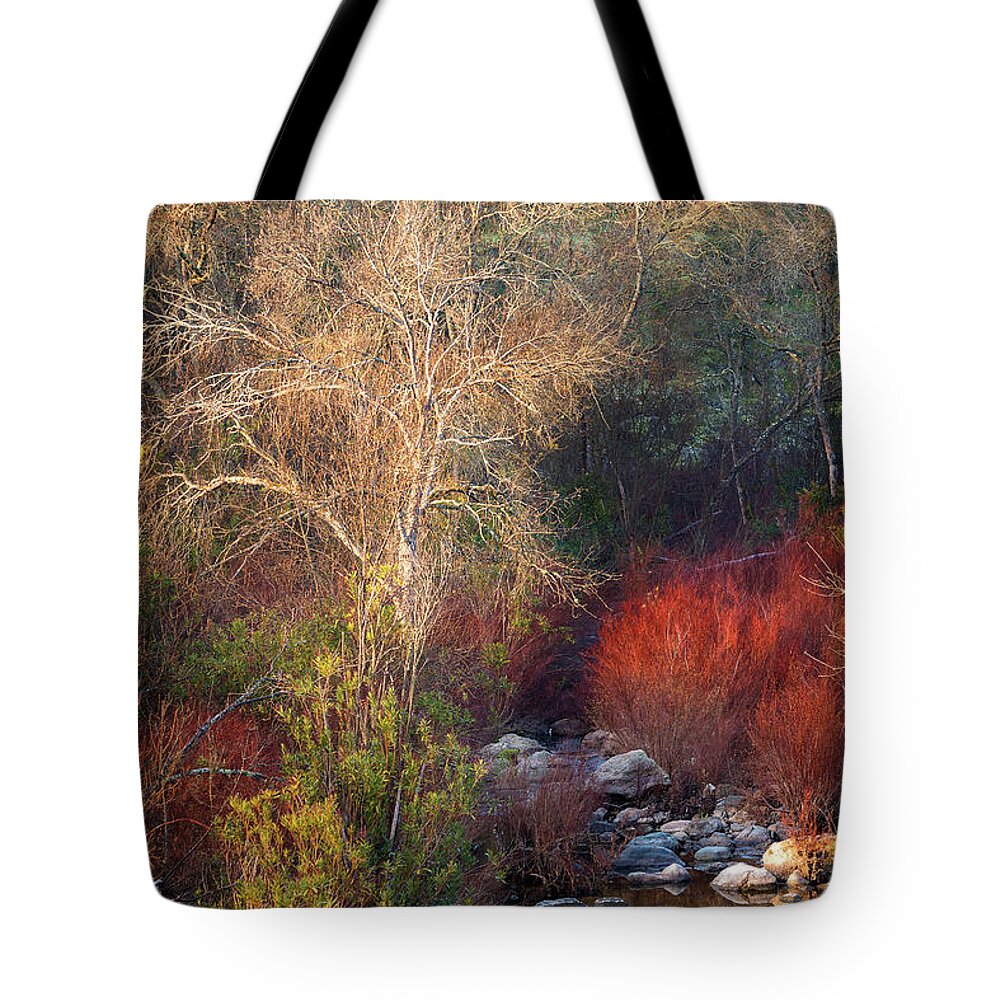 Andalusia Tote Bag featuring the photograph Colors of Andalusia by Hernan Bua