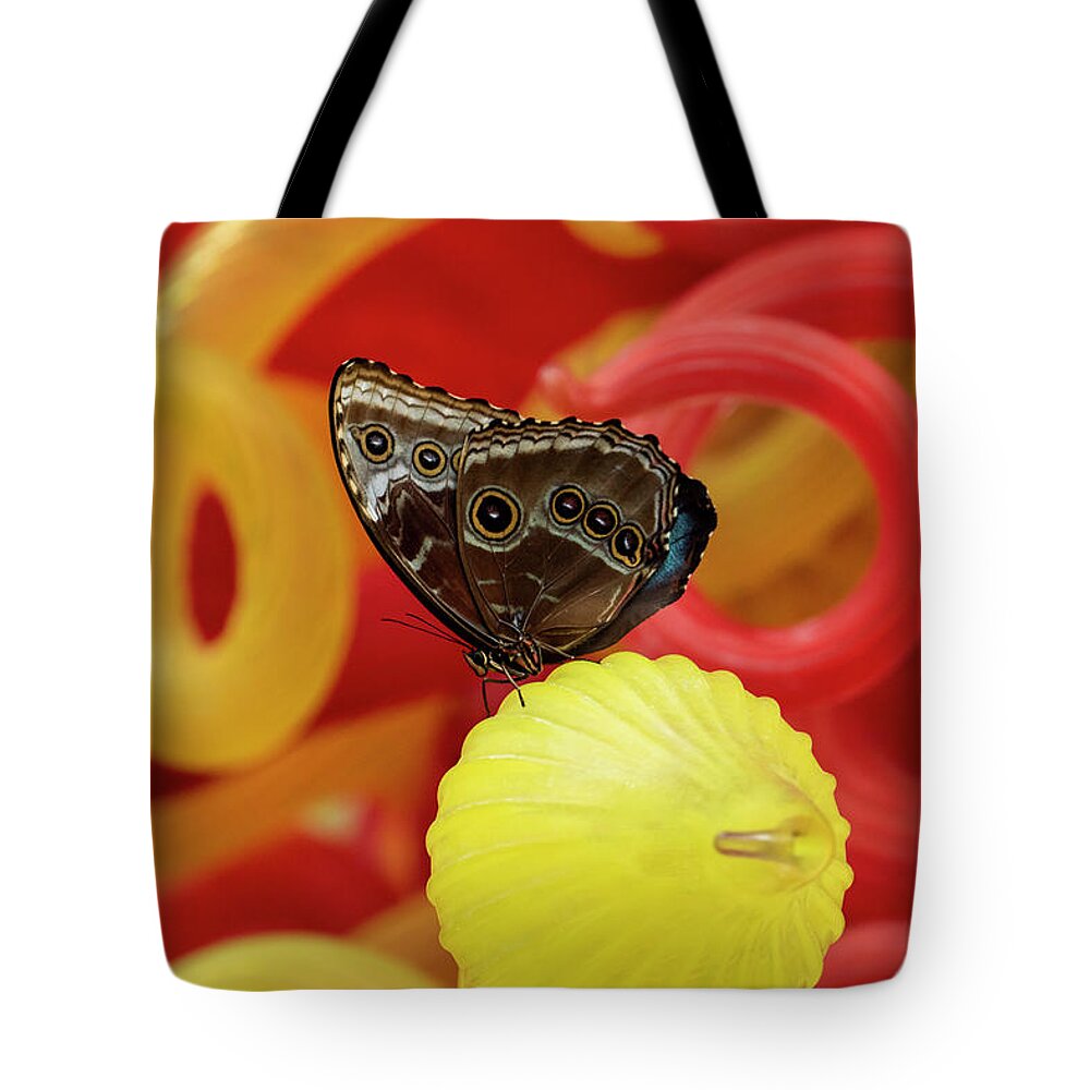 Butterlfly Tote Bag featuring the photograph Colors of the Butterfly by Arthur Oleary